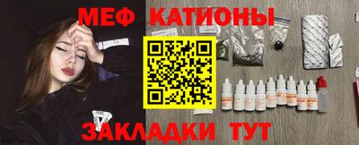 стафф Кингисепп