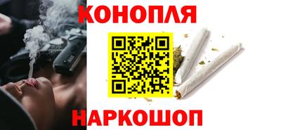 стафф Кингисепп