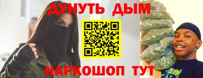 стафф Кингисепп