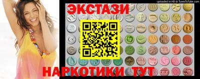 стафф Кингисепп