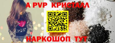 стафф Кингисепп